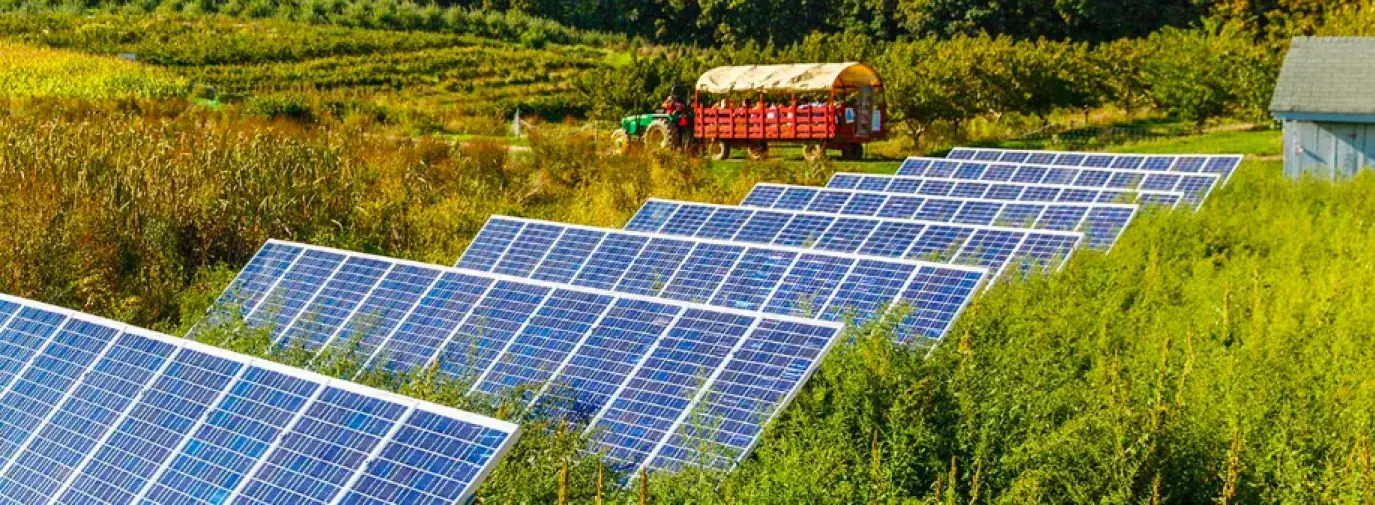 Solar farm 